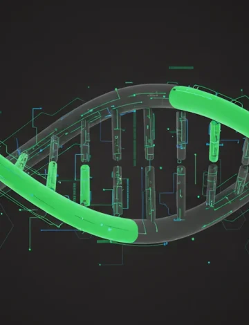 Building Your First Agent with Strands