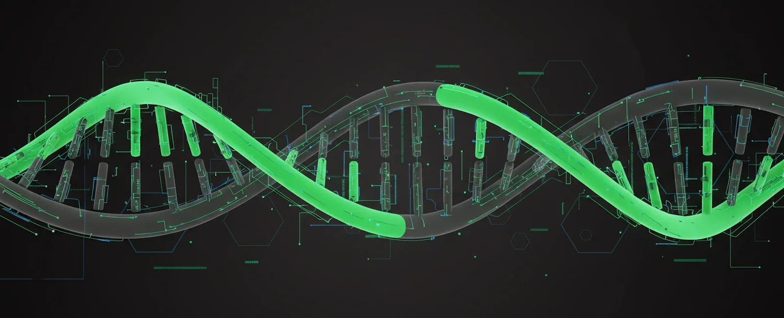 Building Your First Agent with Strands