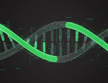 Building Your First Agent with Strands